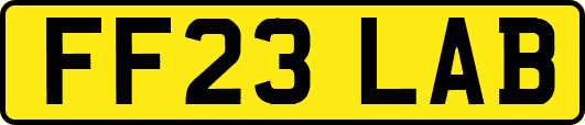 FF23LAB