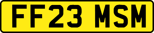 FF23MSM