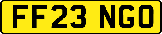 FF23NGO