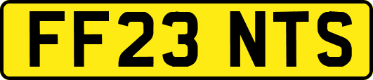 FF23NTS