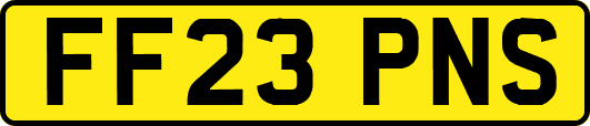 FF23PNS