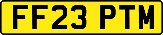 FF23PTM