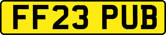 FF23PUB