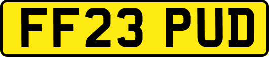 FF23PUD