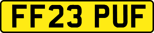 FF23PUF