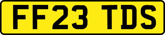 FF23TDS
