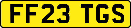 FF23TGS