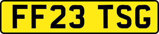 FF23TSG