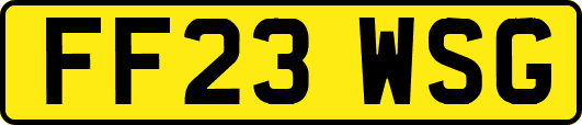 FF23WSG
