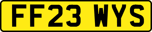 FF23WYS