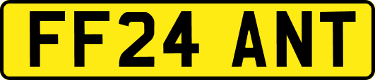 FF24ANT