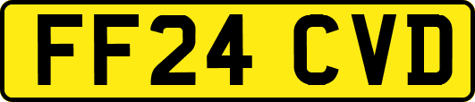 FF24CVD