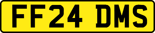 FF24DMS