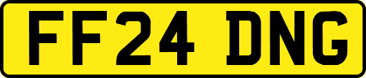 FF24DNG