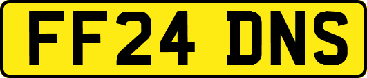 FF24DNS