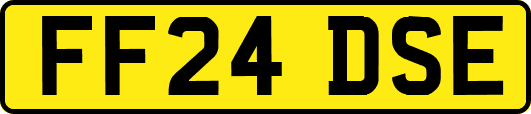 FF24DSE