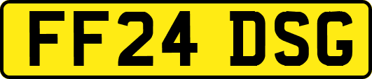 FF24DSG