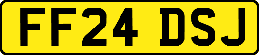 FF24DSJ