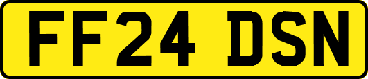 FF24DSN