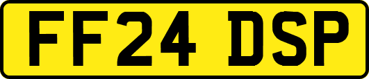 FF24DSP