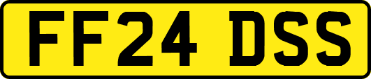 FF24DSS