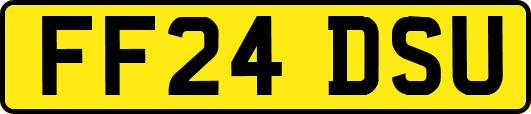 FF24DSU