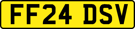 FF24DSV