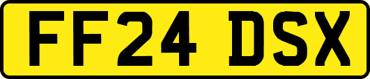 FF24DSX
