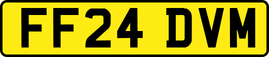 FF24DVM