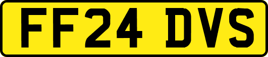 FF24DVS