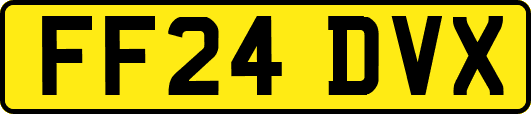 FF24DVX