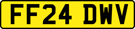 FF24DWV
