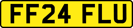 FF24FLU