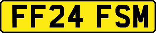 FF24FSM