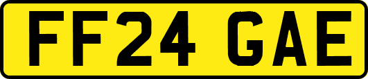 FF24GAE