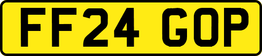 FF24GOP
