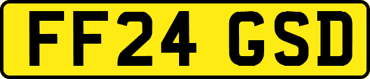 FF24GSD