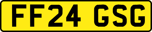 FF24GSG