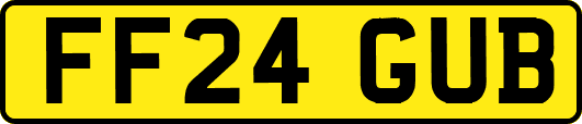 FF24GUB
