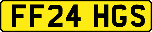 FF24HGS