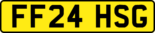 FF24HSG
