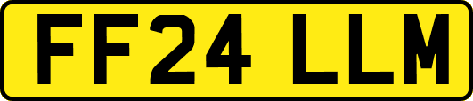 FF24LLM