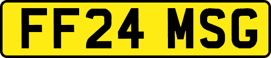 FF24MSG