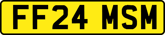 FF24MSM