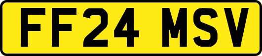 FF24MSV