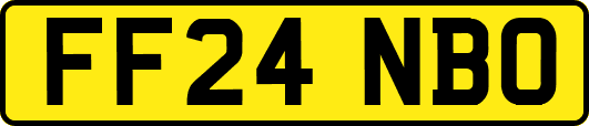 FF24NBO