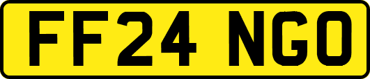 FF24NGO