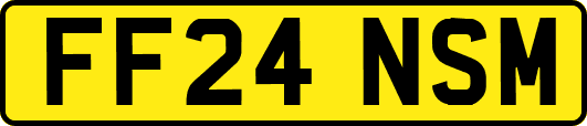 FF24NSM