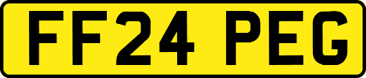 FF24PEG