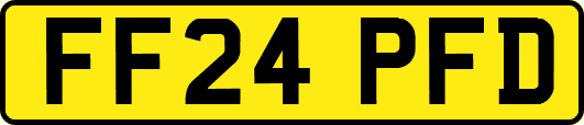 FF24PFD